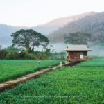 20183873_1589895184385911_6379876212549877760_n