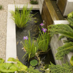 บ้านทุ่ง4