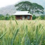 บ้านทุ่ง11