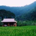 บ้านทุ่ง2