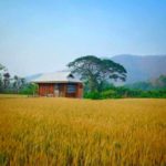 บ้านทุ่ง5