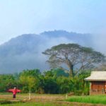 บ้านทุ่ง8