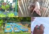 เกษตรผสมผสาน วิถีพอเพียง บนพื้นที่ 2 ไร่