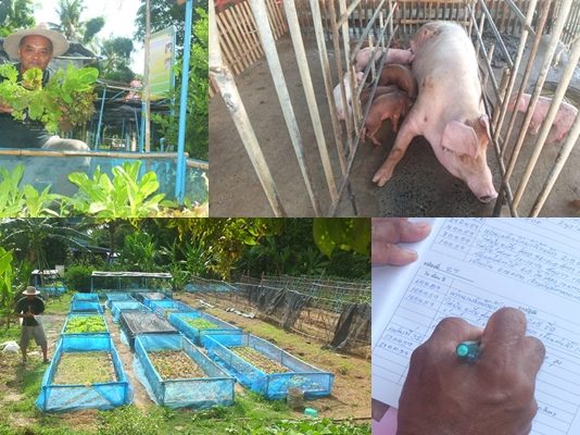 เกษตรผสมผสาน วิถีพอเพียง บนพื้นที่ 2 ไร่