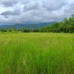 40046258_10214143892129313_2692974709686927360_n