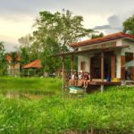 41310468_10214244654048298_9019525364203913216_n