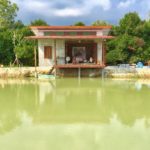 41913576_282000922525697_5844556896140263424_n