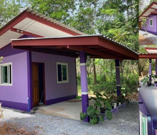 บ้านในสวนหลังน้อย 1 ห้องนอน 1 ห้องน้ำ หลังคาแบบเพิงแหงนเรียบง่าย
